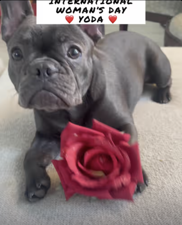 Happy International Women’s Day !